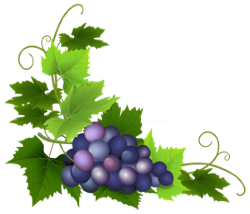 kisspng-common-grape-vine-wine-grape-leaves-clip-art-grapes-5ab94bf5baf118.8556498815220930457657